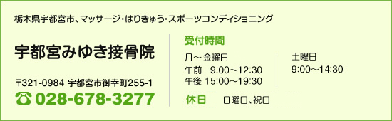 マッサージはりきゅう宇都宮みゆき接骨院概要